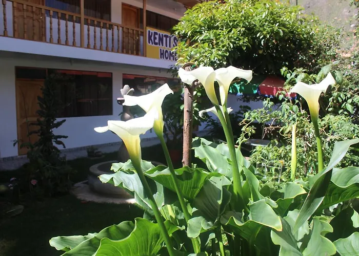 Kenti's